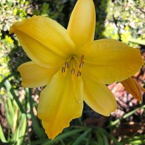 Meet your Posher, June